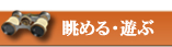 į��롦ͷ��