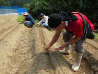 種まき