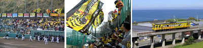 阪神タイガースのキャンプ地・安芸市