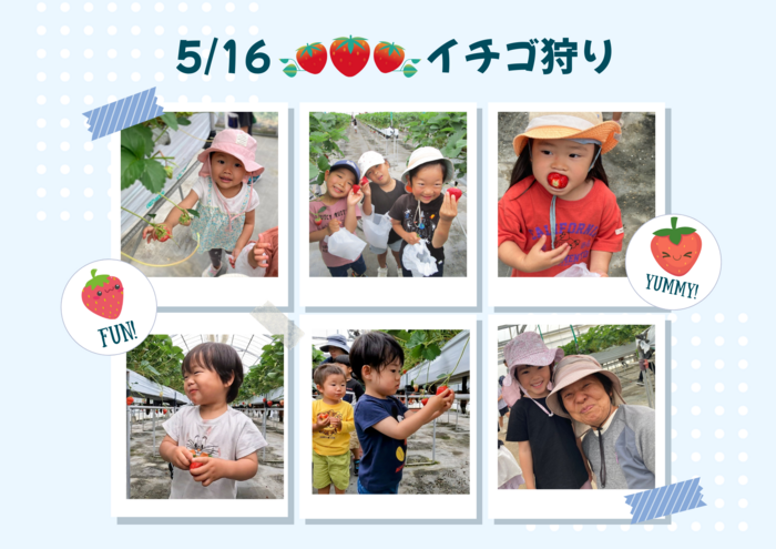 いちご狩り