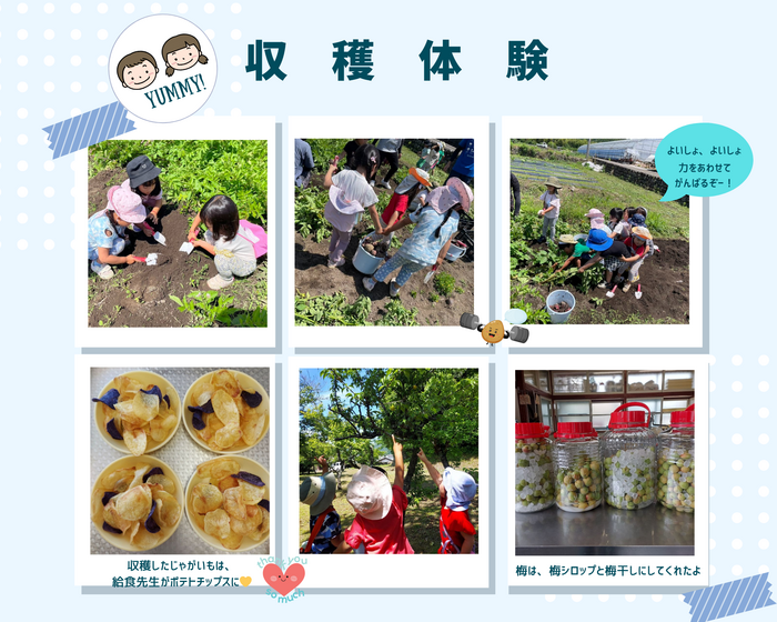 収穫体験