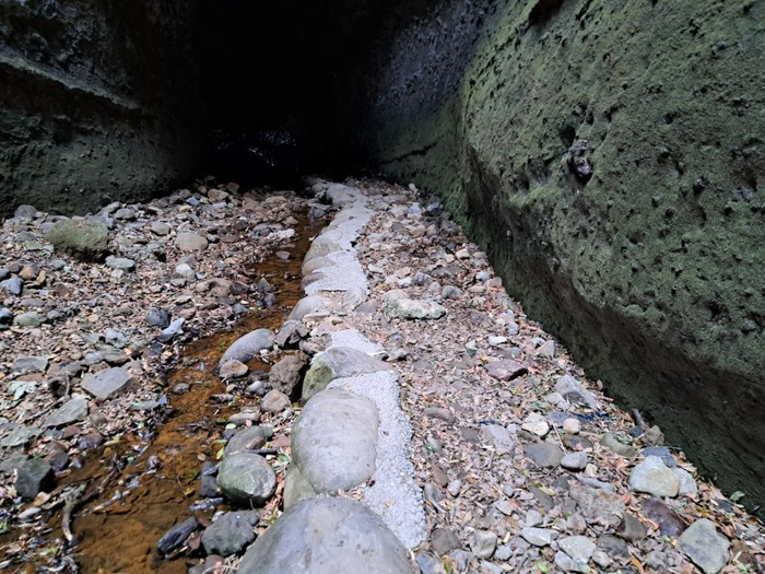 伊尾木洞遊歩道