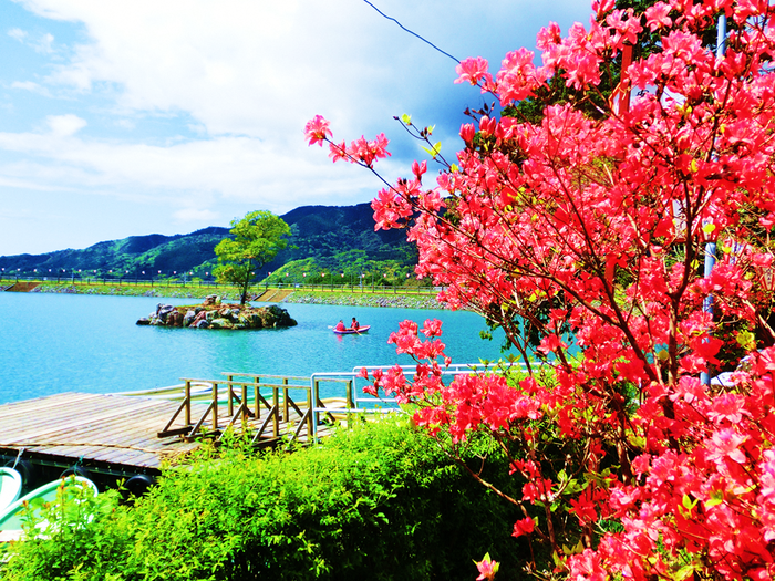 内原野つつじ祭り