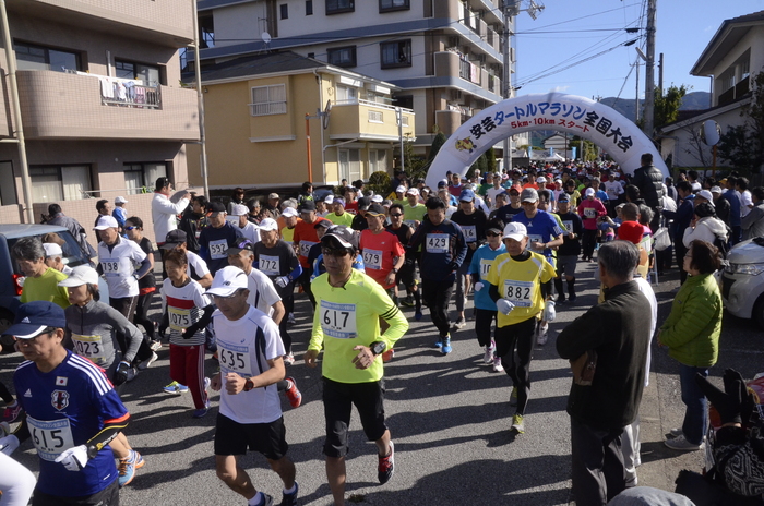 タートルマラソン