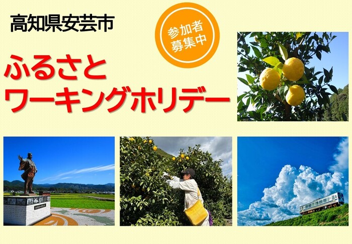 チラシ