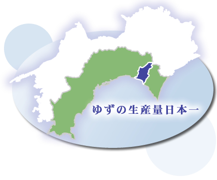 ゆずの生産量日本一